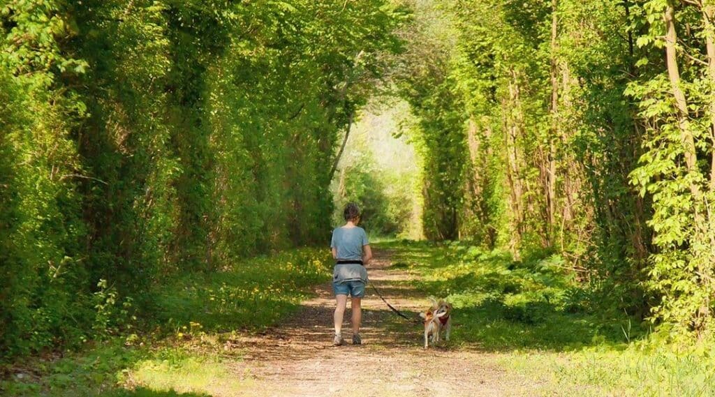 Geschichten erzählen