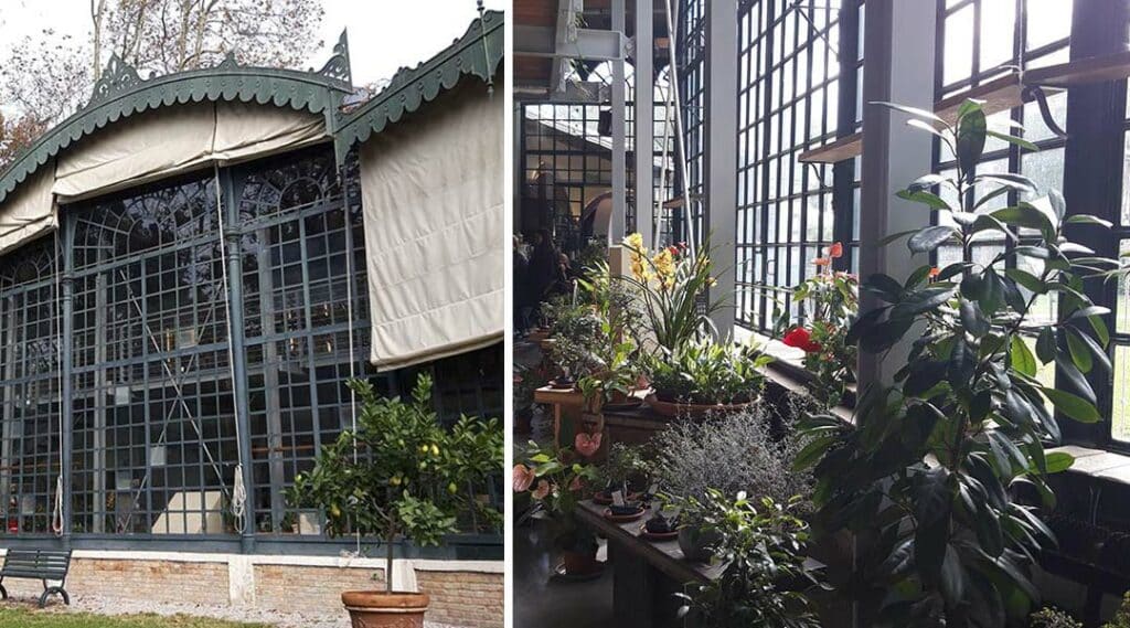 Glashaus Palme Venedig