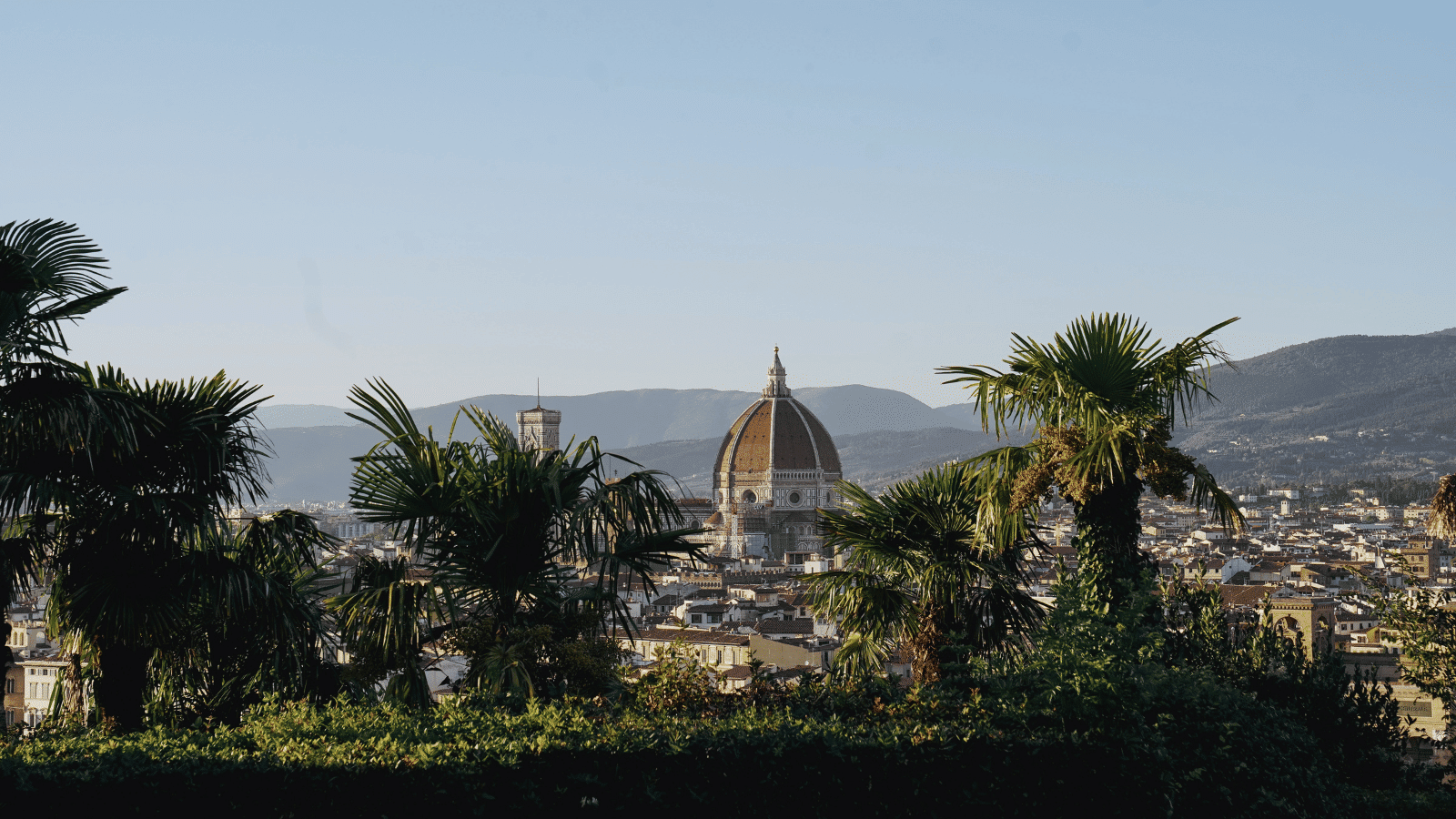 Blick durch grüne Palmen von San Michele auf die Kuppel von Florenz und die Häuserzeile der Stadt. Im Hintergrund die bewaldeten Berge des Appenin
