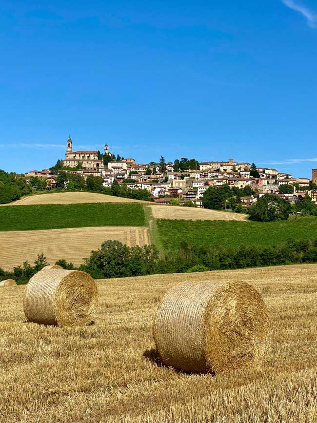 ItalViva, Immobilien Italien, Monferrato